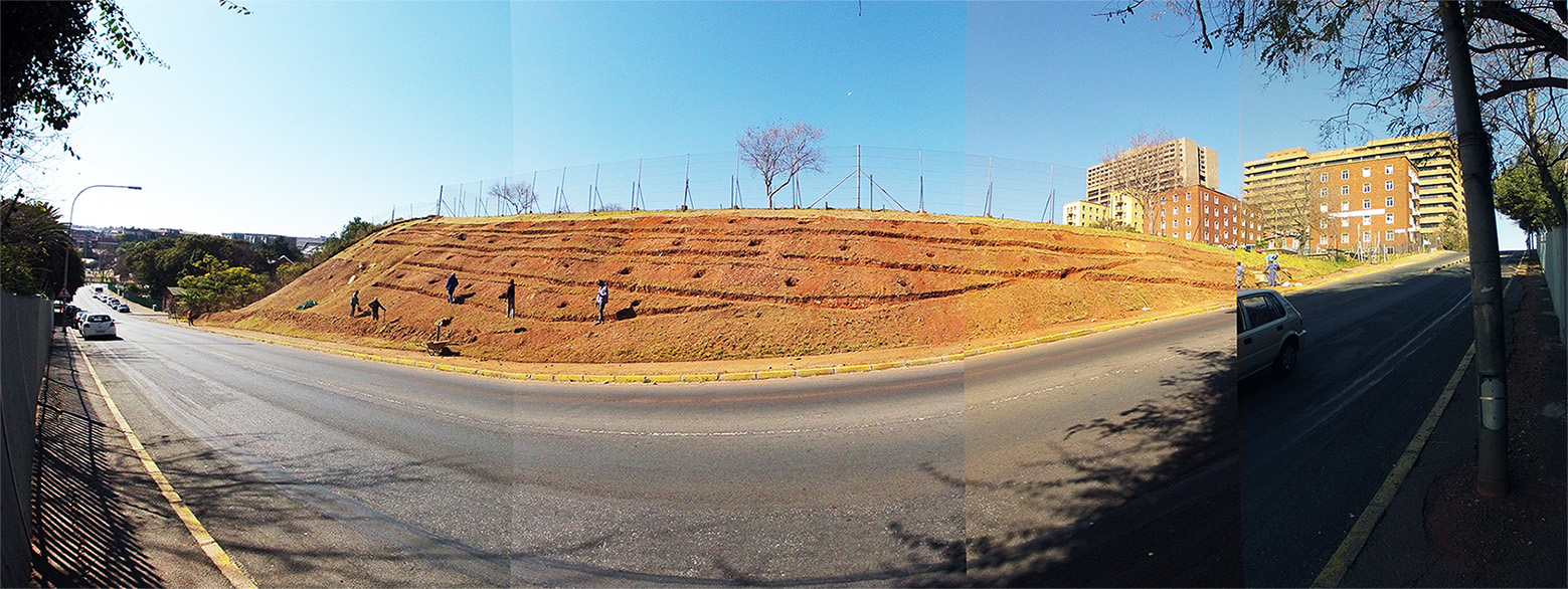 Click the image for a view of: Bramble Fountain Food Forest. Under construction. Winter 2013.